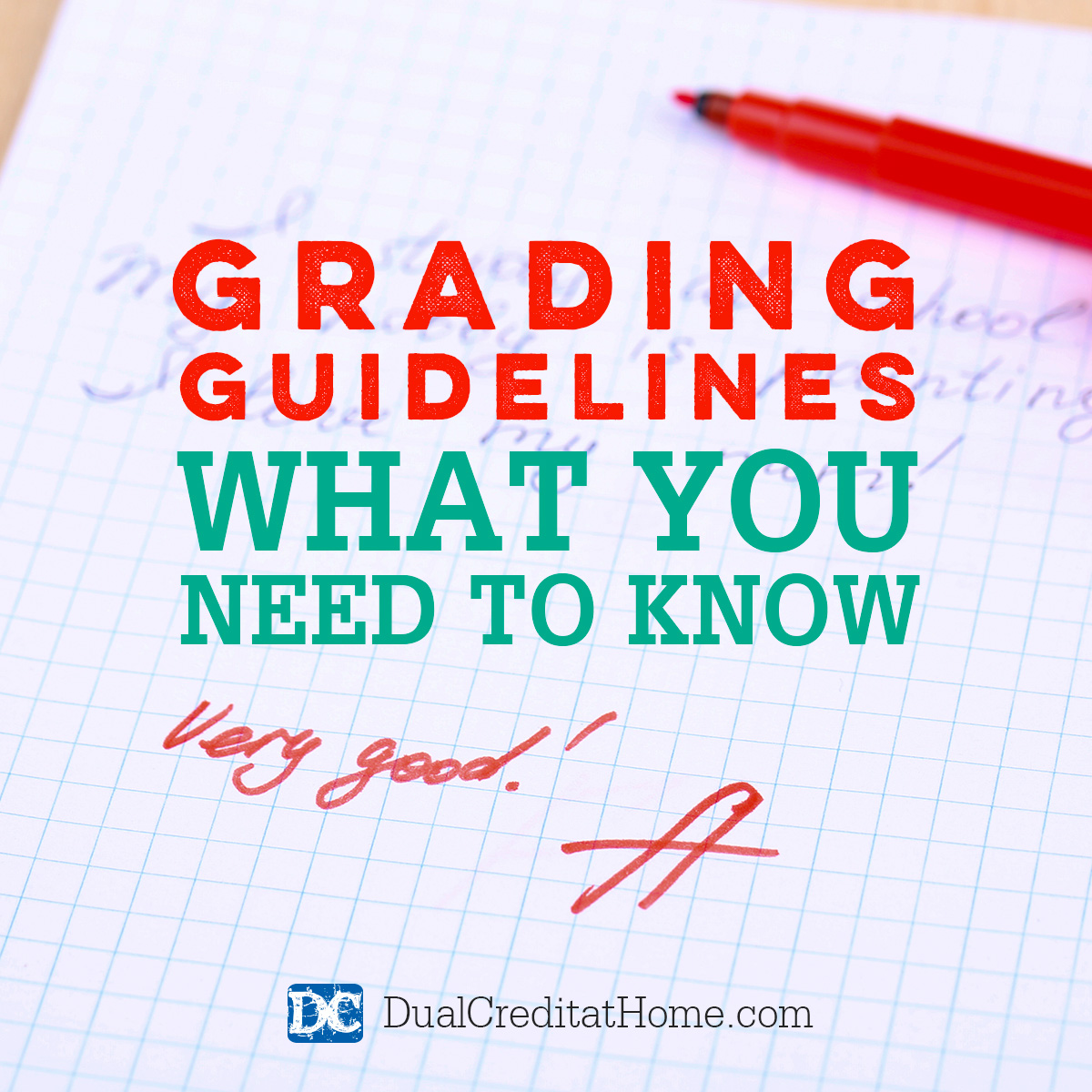 Grading Guidelines: What You Need to Know