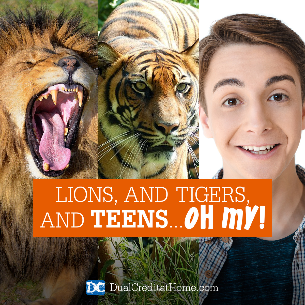 Lions, and Tigers, and... Teens, Oh My!