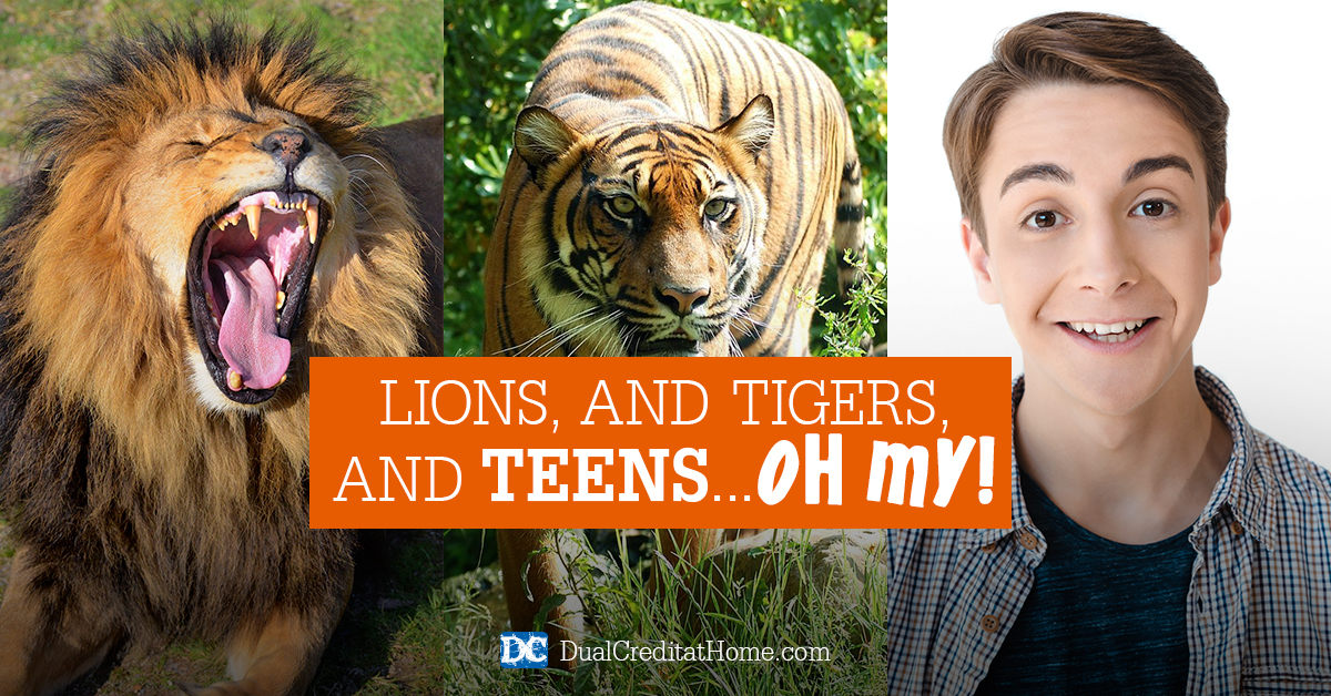 Lions, and Tigers, and... Teens, Oh My!