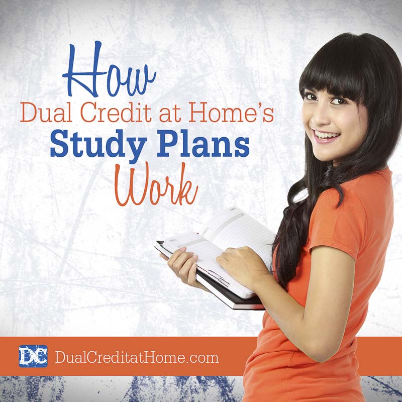 How the Study Plans Work