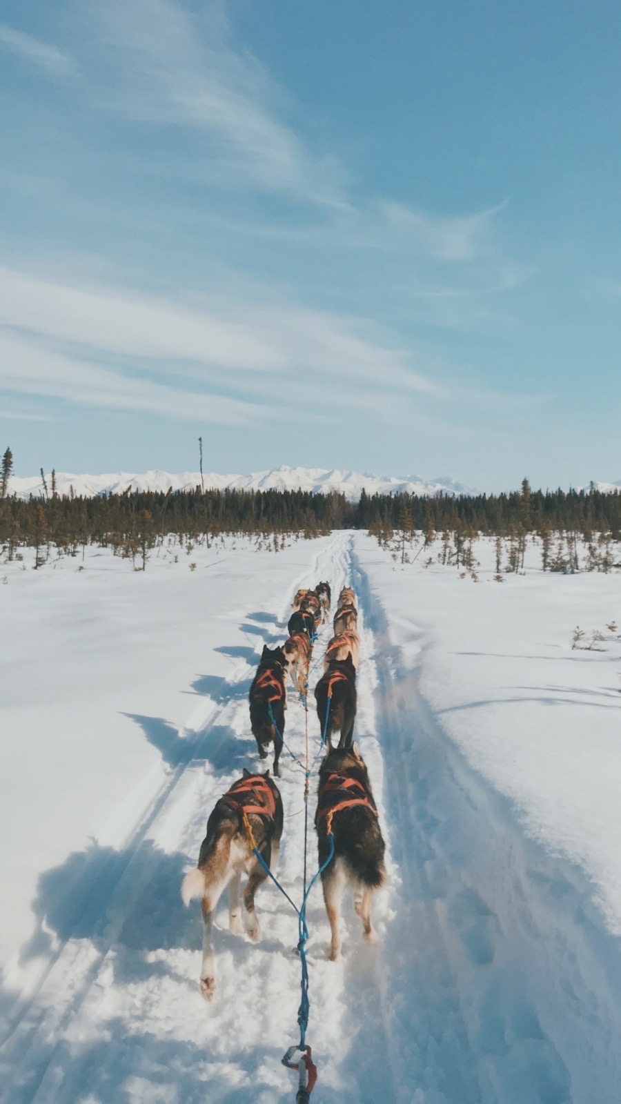 Anna Coke Jr. Iditarod Dual Credit