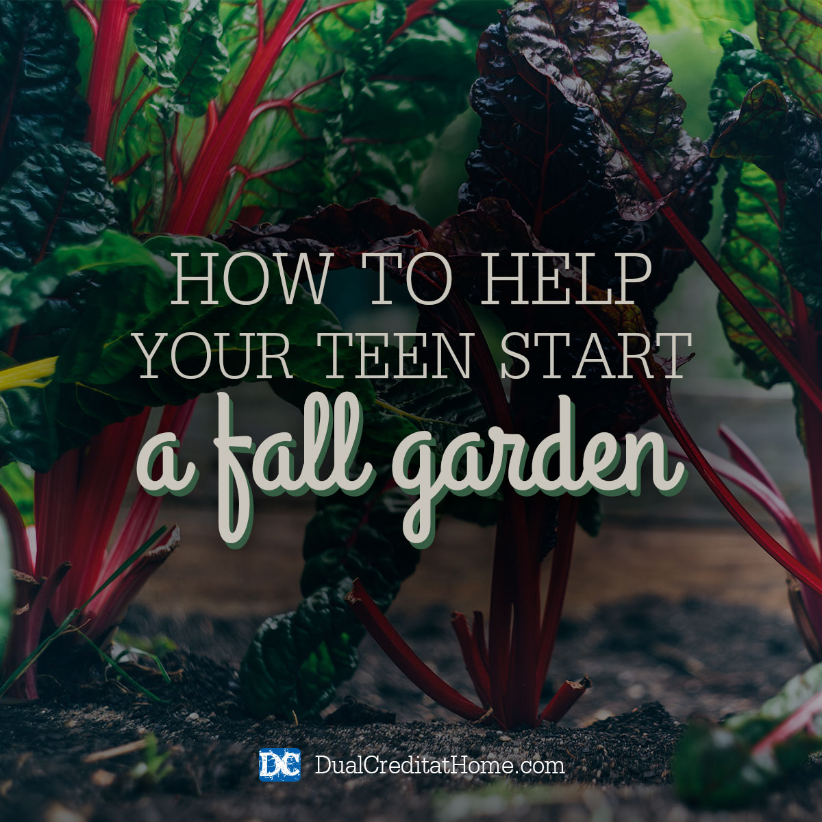 Gardening can teach teenagers about biology, botany, and nutrition.