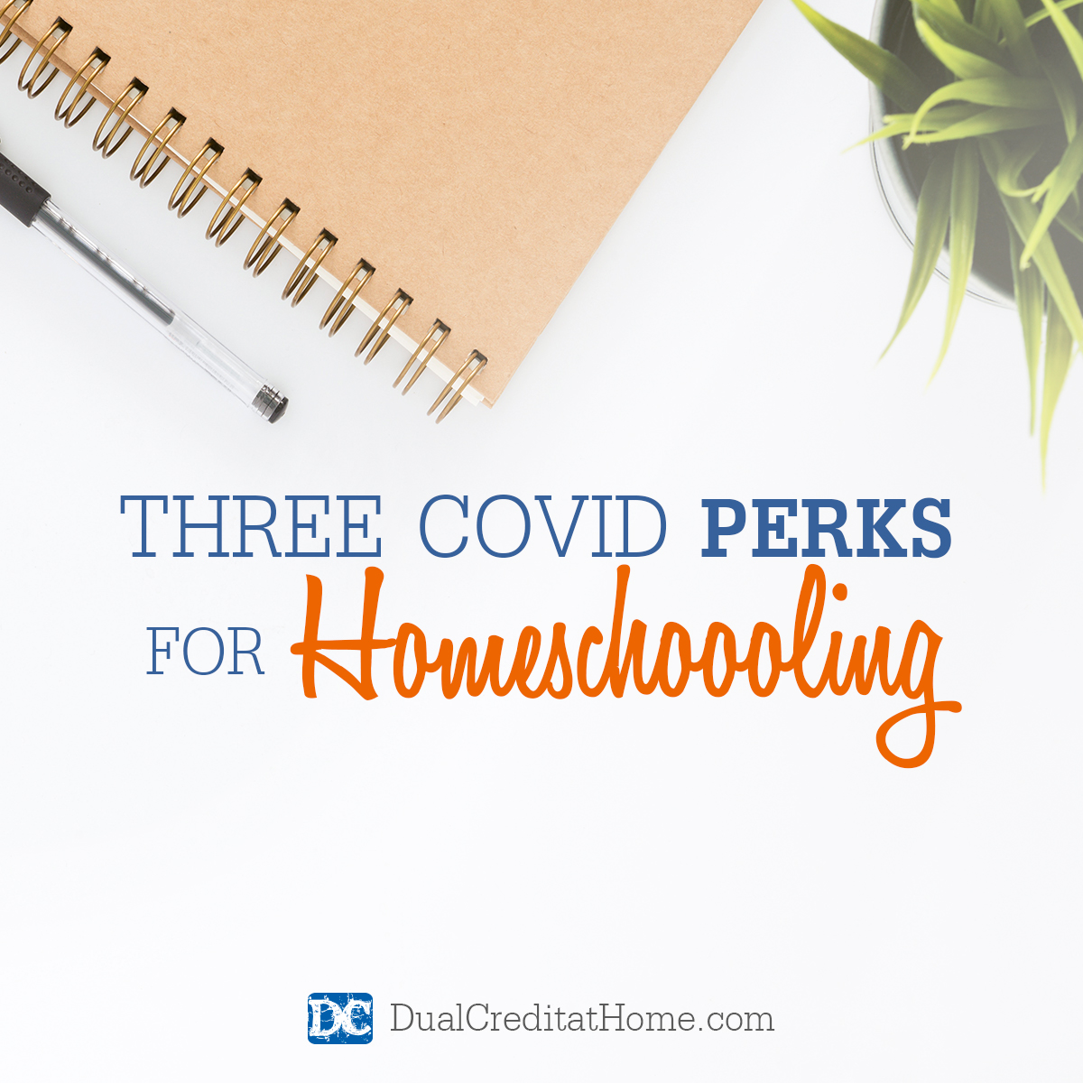 3 COVID Perks for Homeschooling
